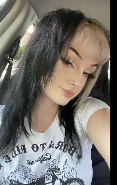 Succupus star art pics