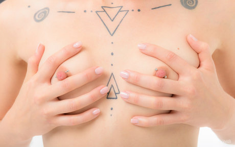 Foxyreid Profile pic