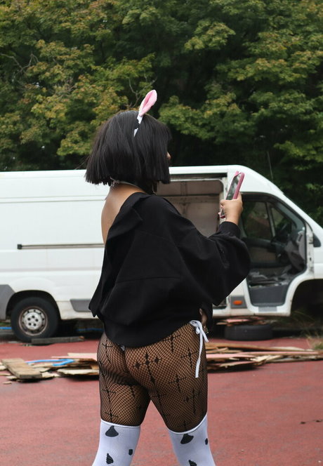 sucubofree pornstar hd galleries