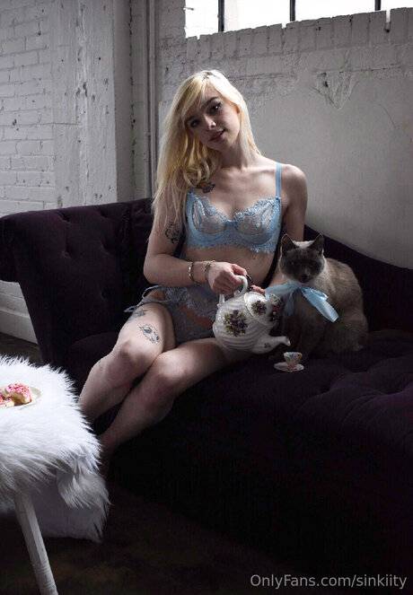 Sinkiity art star photo