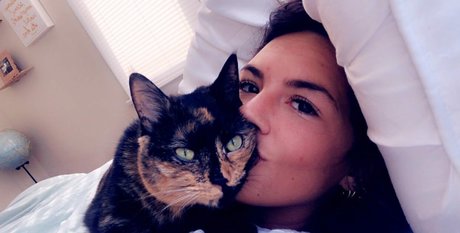 Taylor Horner pretty pornstar gallery