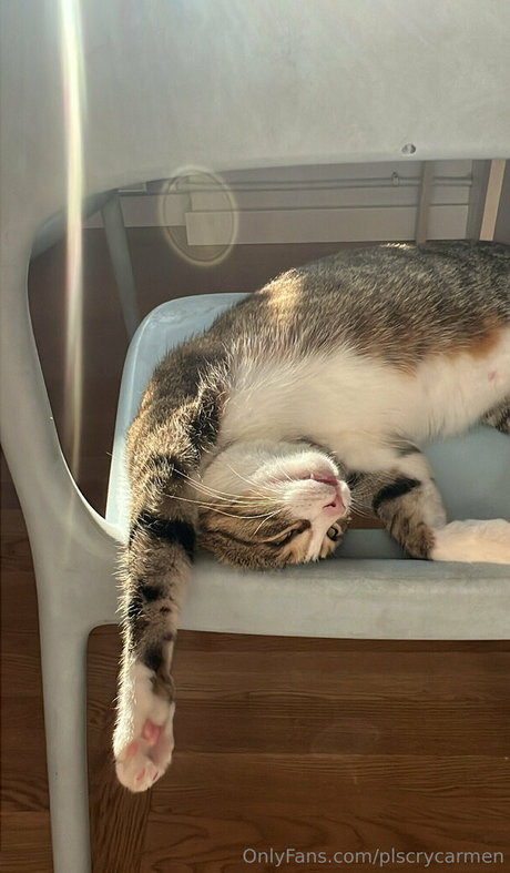 plscrycarmen hot pornstar photos