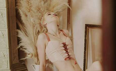 lilly blooms nice star pictures