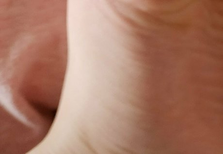 misskittyhellebore best star photos