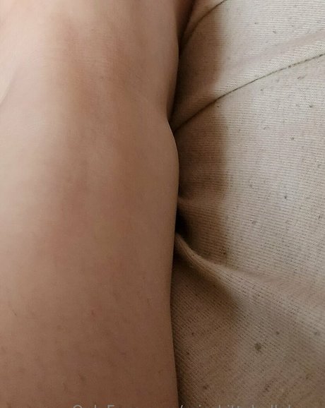 misskittyhellebore nice model archive