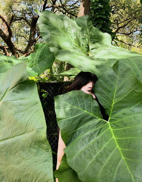 Alondra Larson high quality star pics