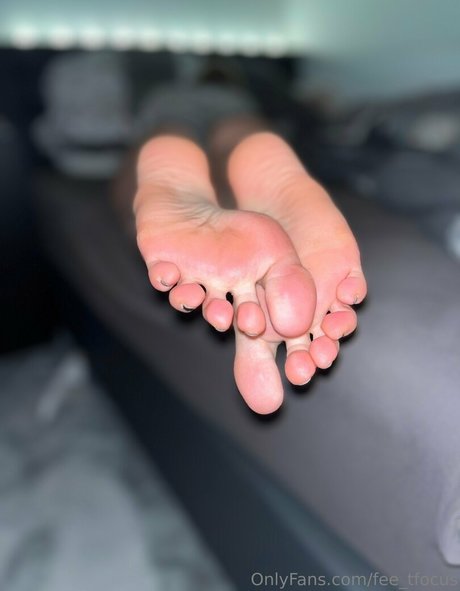 fee tfocus star free img