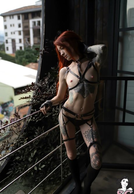 zarawolf erotic model pictures