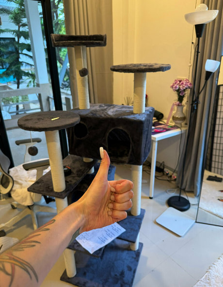 iamvirtuallady nice star picture