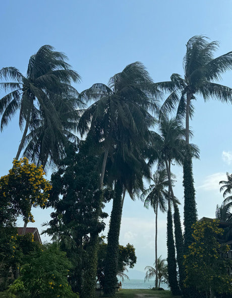 iamvirtuallady sexy star img