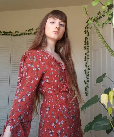 oceanfilly top star picture