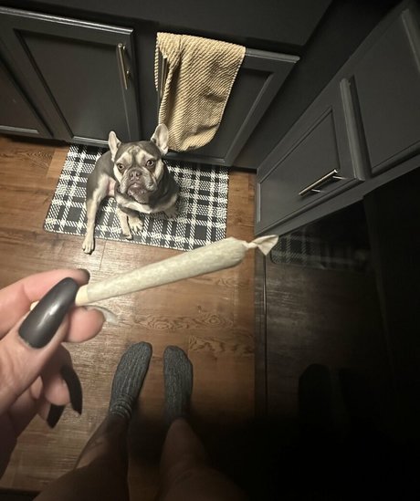 horrorwh0re naked actress pictures