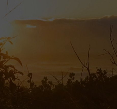 Ava Little art model picture