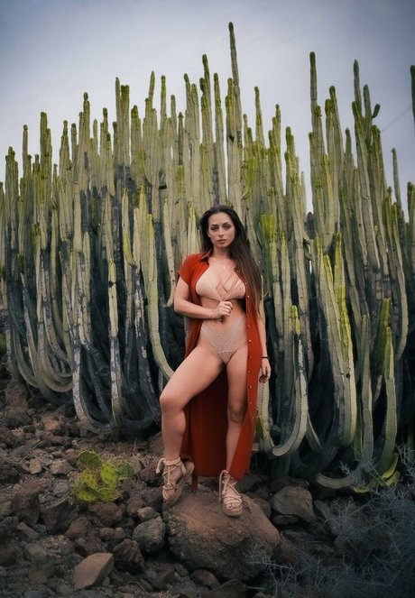 SweetTits20 pornstar top img