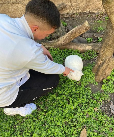 Micaela Perlezzi star pretty archive