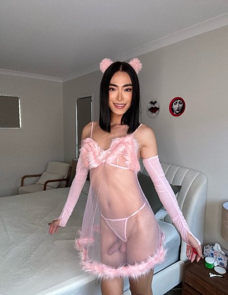 trishats26 beautiful star photos