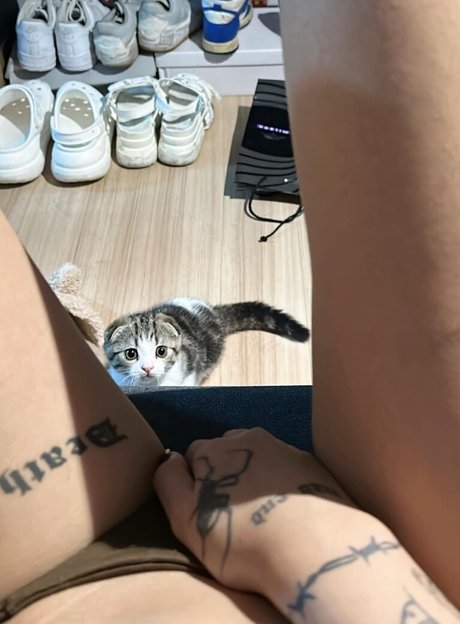 Gupgiiiiift sex model galleries