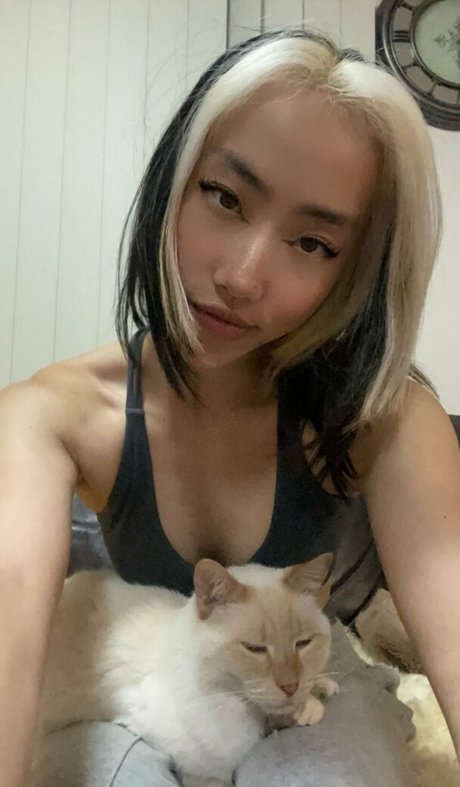 Smolkcqze model top archive