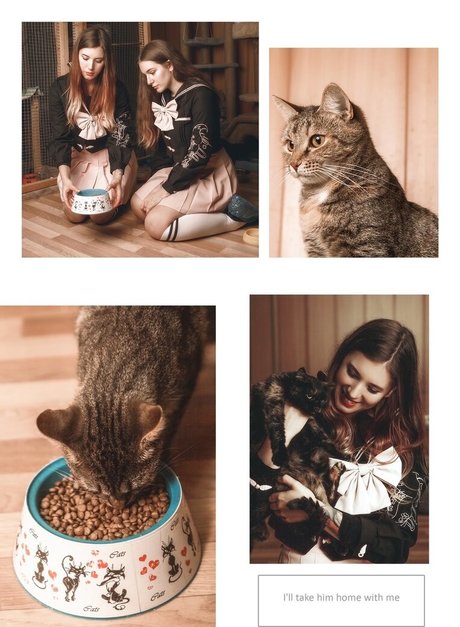 Agrifano nice star pics