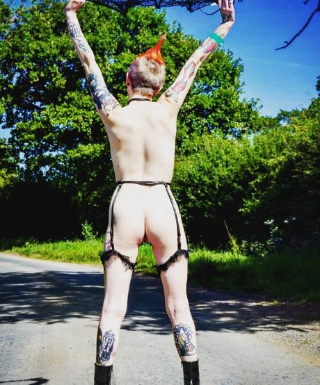 dinkytoy star beautiful pictures