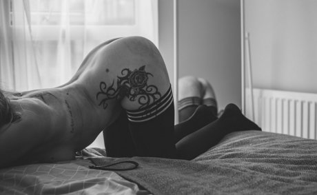 ellehart free high quality star galleries