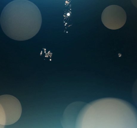 Toree top pornstar picture