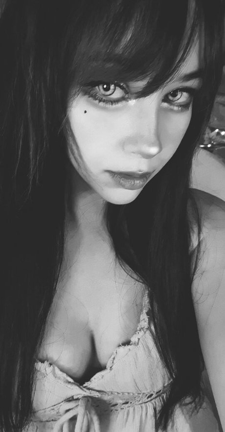 lilly time nice star gallery