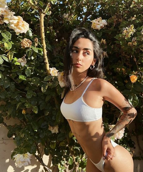 iambabypil star high quality image