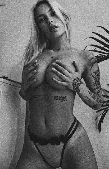 Lenkajzv best star archive