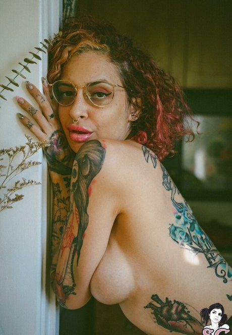 Vanp star nice picture