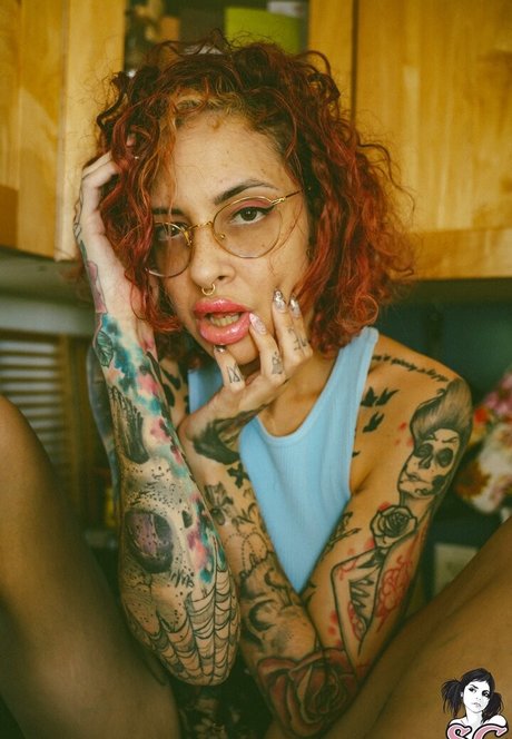 Vanp model top image