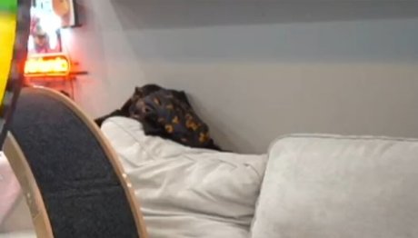 Emiru high quality model images