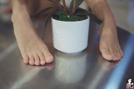 Erisverba hd star galleries