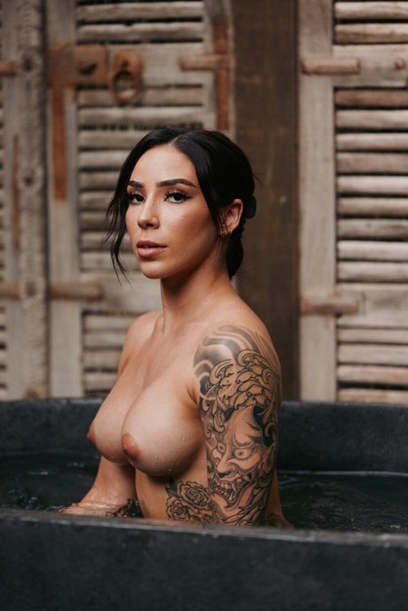 _Sakineko X_ hd model image