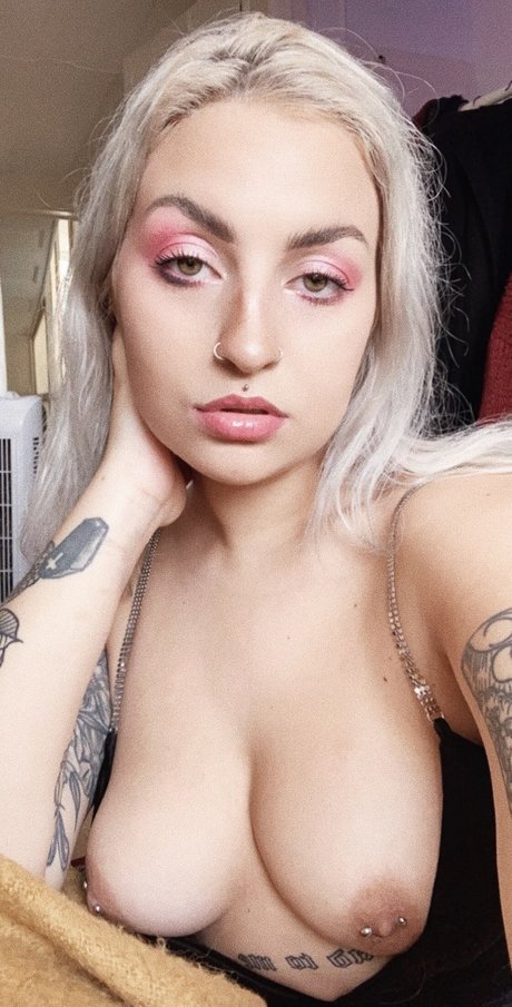 Pinustri art star galleries