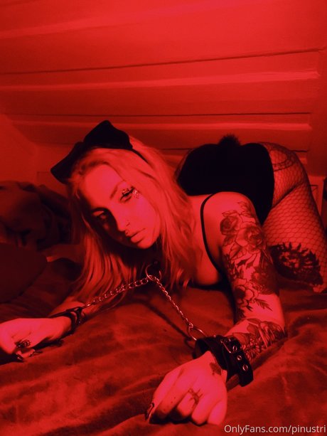 Pinustri model top picture