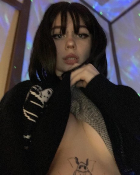 Fluffyfulafel_ Profile pic