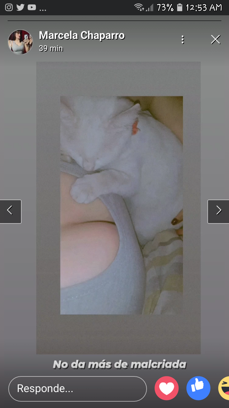 Marcela Chaparro_ art model galleries