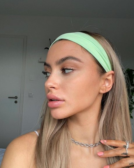 Linabmn best model pic