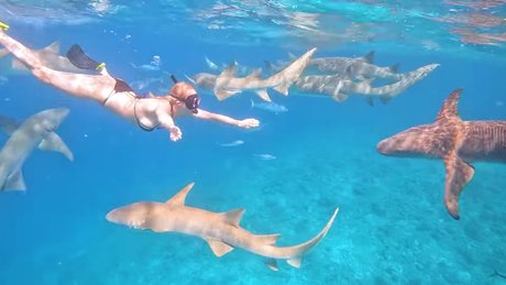 Manyazzzz pornstar erotic photo