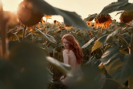 Fieryfairy_ model porn images