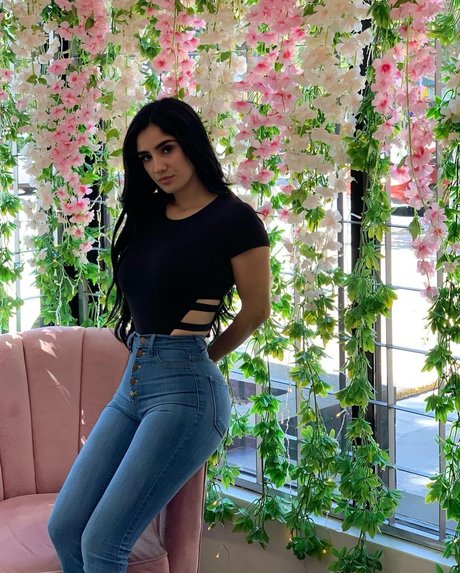 Dixie Martinez pornstar erotic galleries