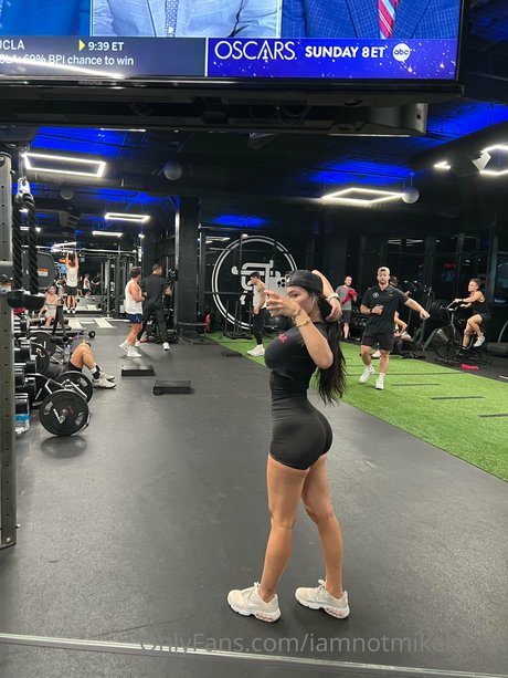 Tyson Daily Salomon_ top star img