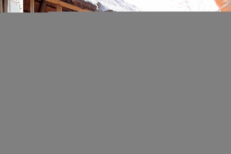 Nonnie 40dd star xxx pictures