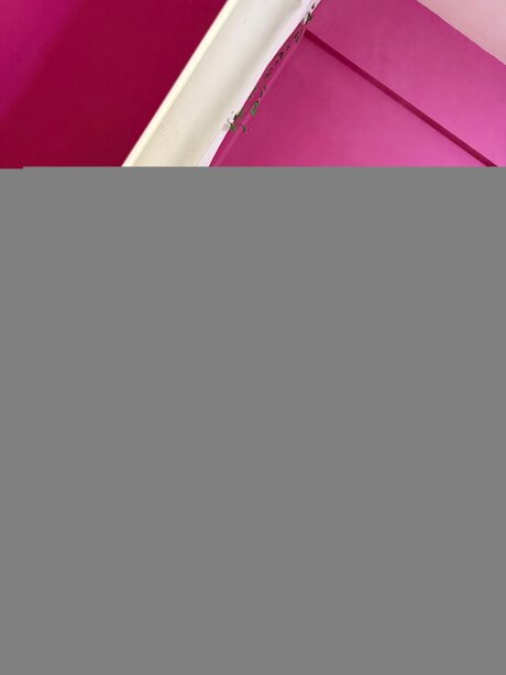 Sofiaindivar beautiful star image