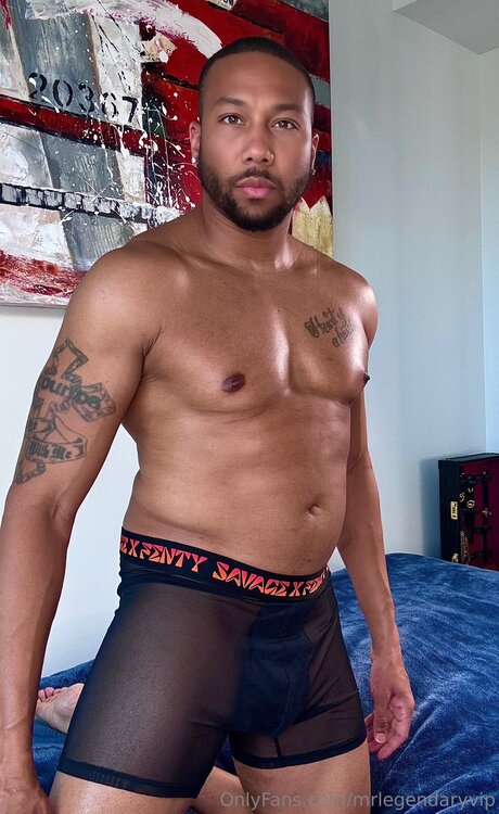 Mrlegendaryvip pornstar xxx archive