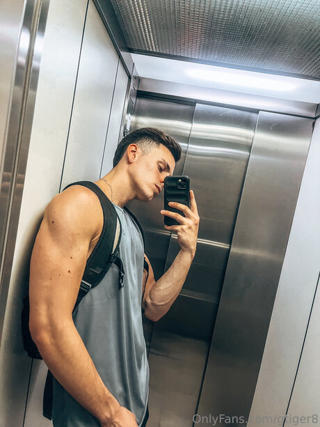 Gtiger8 perfect star pictures