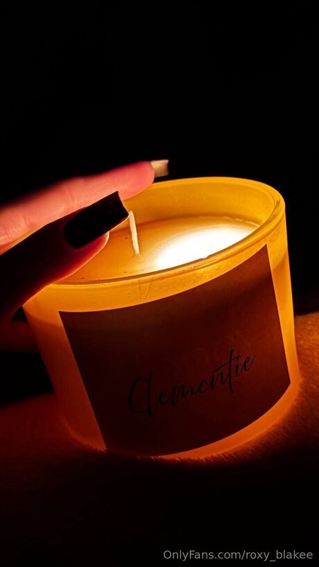 Roxy Blakee model erotic pic