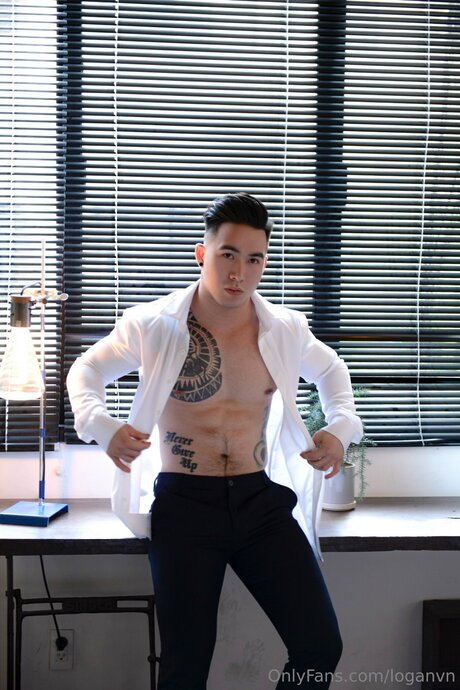 Loganvn art pornstar galleries