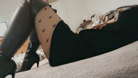 Piella star free images